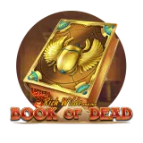 Book of Dead at Robocat Casino