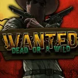 Wanted Dead or a Wild at Robocat Casino