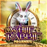 White Rabbit Megaways at Robocat Casino